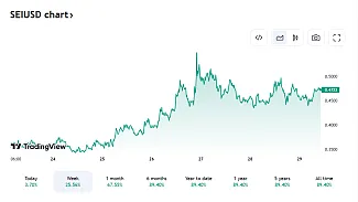 Pohľad na vývoj ceny SEI