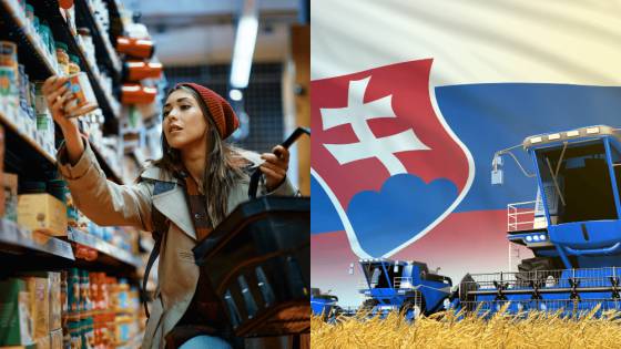 Slováci platia za potraviny toľko ako ľudia s trojnásobným príjmom