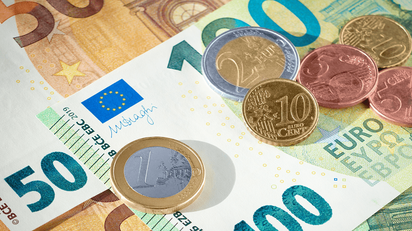 Aj Slováci by sa zavedeniu eura v Česku potešili