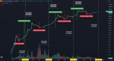 Ako Bitcoin rástol po halvingoch
