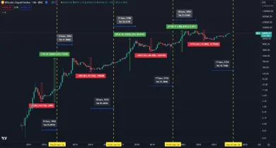 Ako Bitcoin reagoval na všetky halvingy