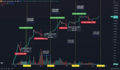 Bitcoin po halvingoch