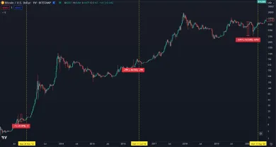 Korekcie pred halvingom