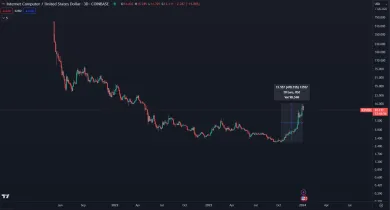 Kryptomeny ICP rastie