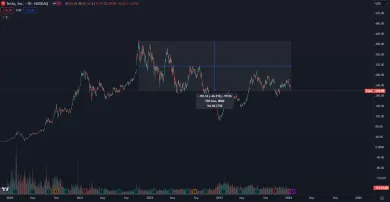 Tesla čelí poklesu akcií