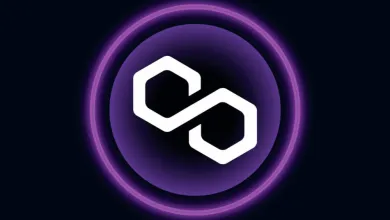 Z Option2Trade je sľubný projekt