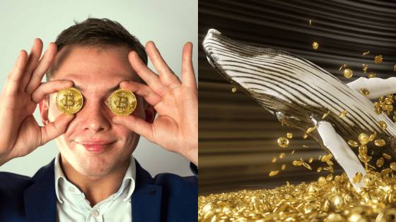 Bitcoin hromadia veľkí investori