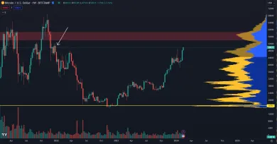 Bitcoin prekonal 50 000