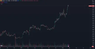 Bitcoin rastie od roku 2023