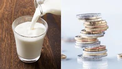 Hrozí nám nedostatok mlieka?