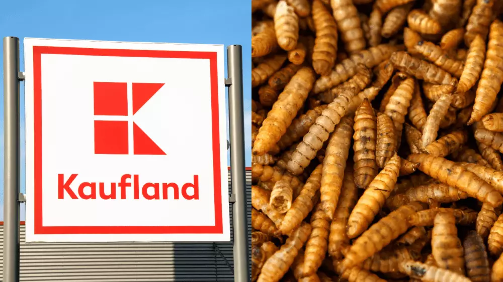 Kaufland používa na čistenie plastov larvy