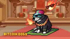 Úspešný predpredaj Bitcoin Dogs