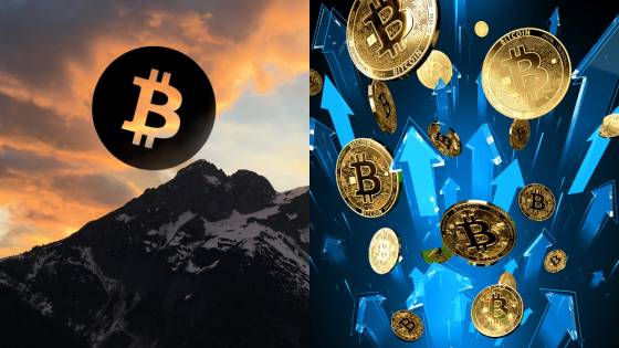 Bitcoin formuje unikátny cyklus