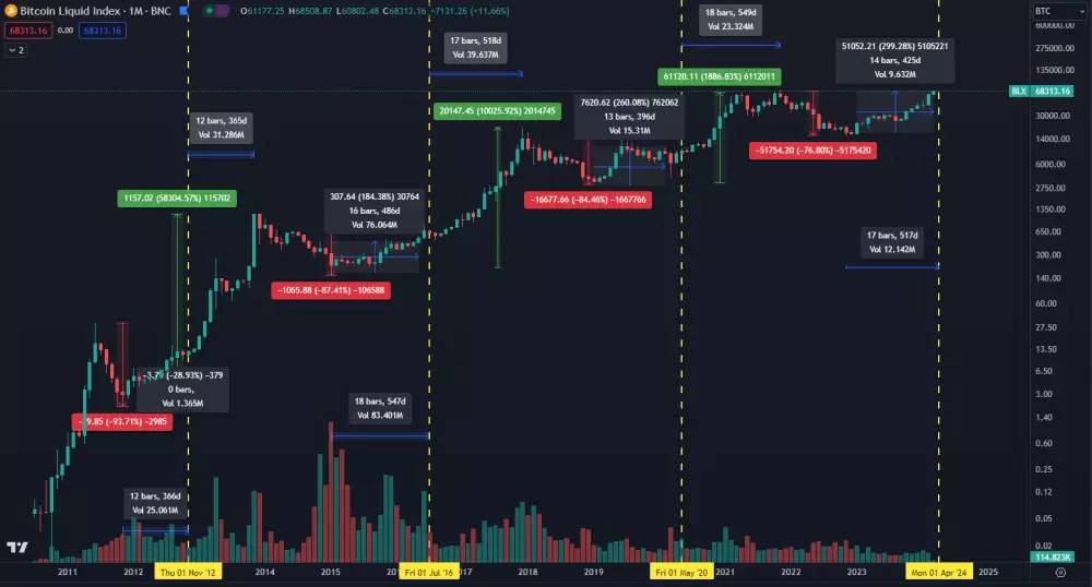 Bitcoin vstupuje do bullrunu