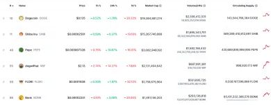 Cenový pád meme coinov