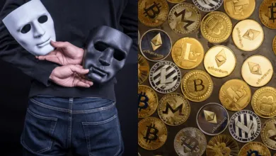 Meme kryptomeny sú oblasťou záujmu