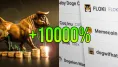 Nový meme coin urobil 10 000 percent
