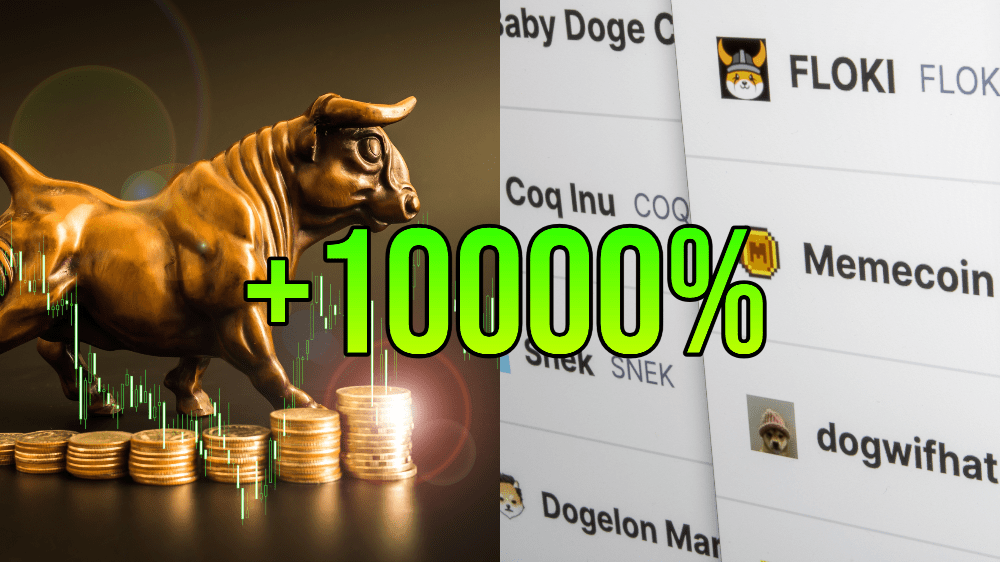 Nový meme coin urobil 10 000 percent