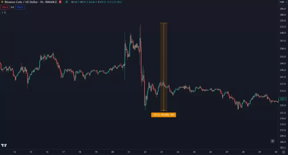 Pád Binance coin po odstúpení Changpeng Zhaa