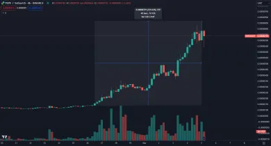 PEPE stúpol o 520 percent