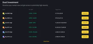 Príklad ziskov na Binance stakingu