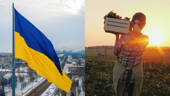 Regulácia dovozu potravín z Ukrajiny by mala byť lepšia