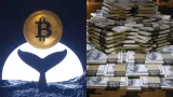 Veľkí hráči nakupujú Bitcoin