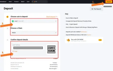Vloženie kryptomeny