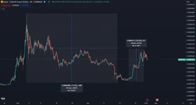 BONK stúpol o 100 percent