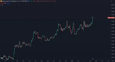 Dominancia Bitcoinu neustále rastie