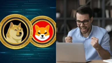 Meme coiny dosiahli nový rekord