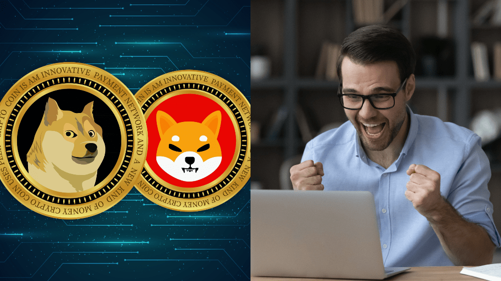 Meme coiny dosiahli nový rekord