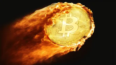 Bitcoin vykazuje nadpriemernú silu