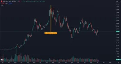 Akcie Tesly výrazne klesajú