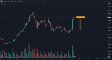 Ethereum zaznamenalo rekordné denné zhodnotenie