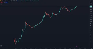 Nárast Bitcoinu od nuly po 70 000 dolárov