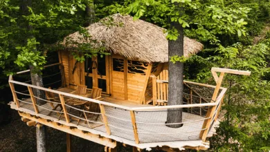 Chata v korunách stromov