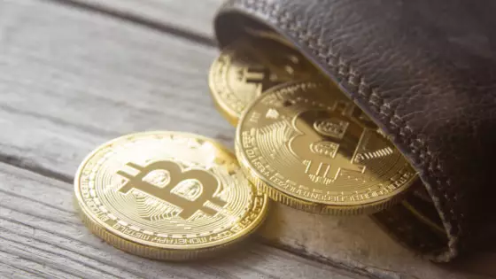 Bitcoin je digitálnou verziou zlata