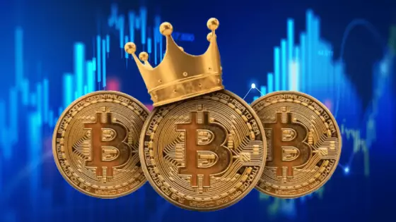 Bitcoin nemôžu nahradiť iné kryptomeny