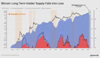 Dlhodobí držitelia v strate