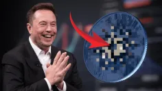 Elon Musk a Cardano