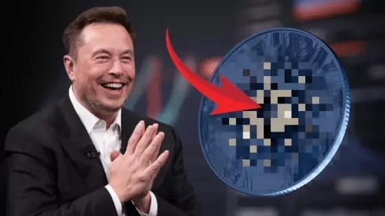 Elon Musk a Cardano