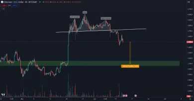 Head and Shoulders vzor