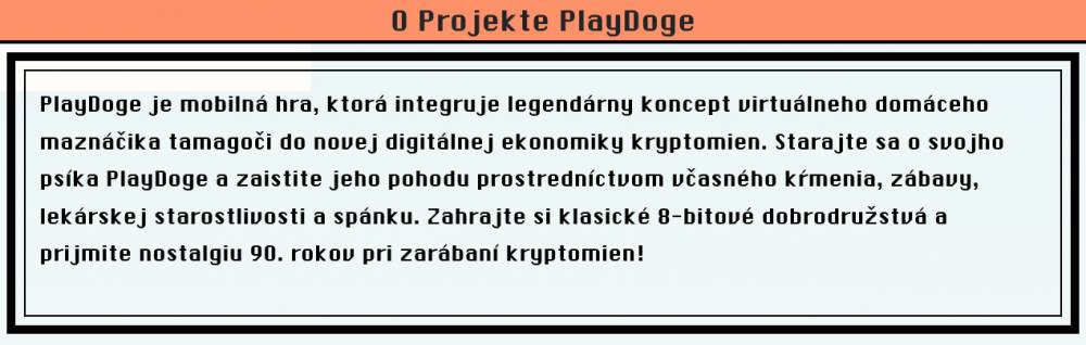 O projekte PlayDoge