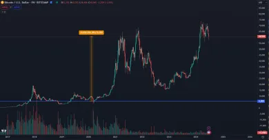 Zhodnotenie Bitcoinu od ceny 6 000 dolárov