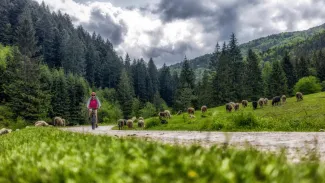 Bicyklom po Slovensku