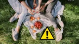 Za zber plodín hrozí vysoká pokuta