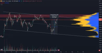 Posledná rezistencia