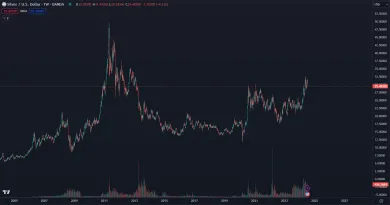 Striebro na 13 ročnom maxime