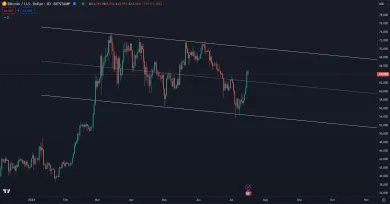 Trhová cena Bitcoinu